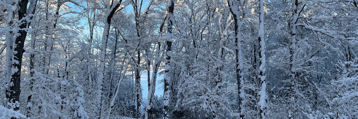 Jeremy Blythe banner