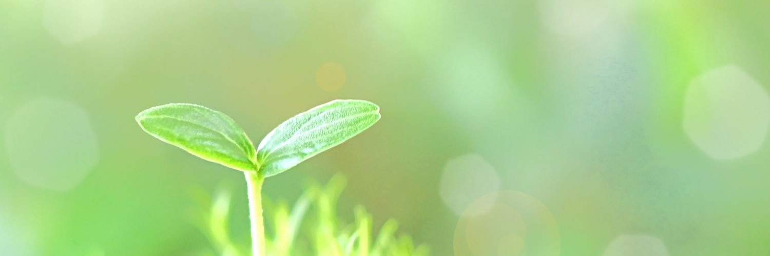 guri222's profile banner image