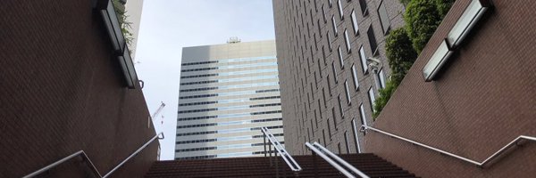yondoque Profile Banner