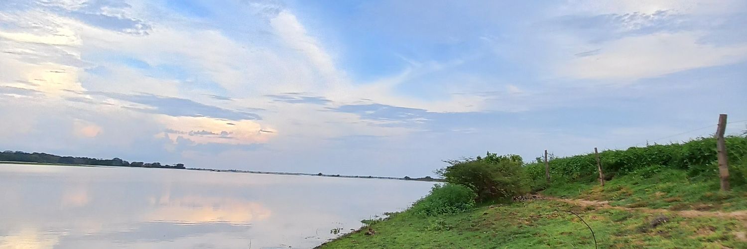 dikarima1971's profile banner image
