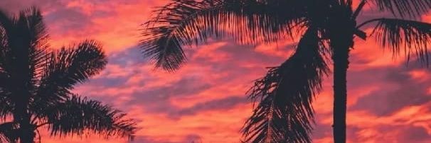jackiv_14's profile banner image
