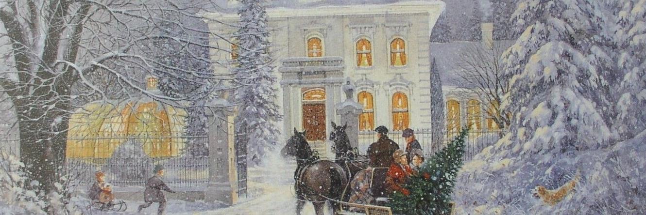 QueenOfYorkies's profile banner image
