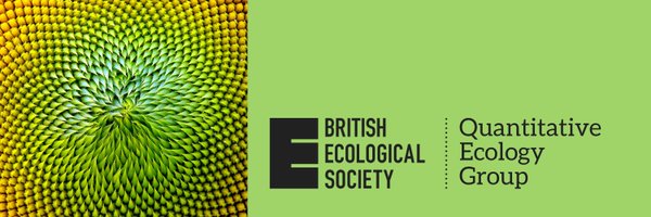 BES_QE_SIG Profile Banner