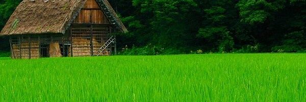 Shemeji_ke's profile banner image