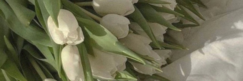 ashleigh banner