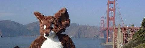 pacerfox's profile banner image