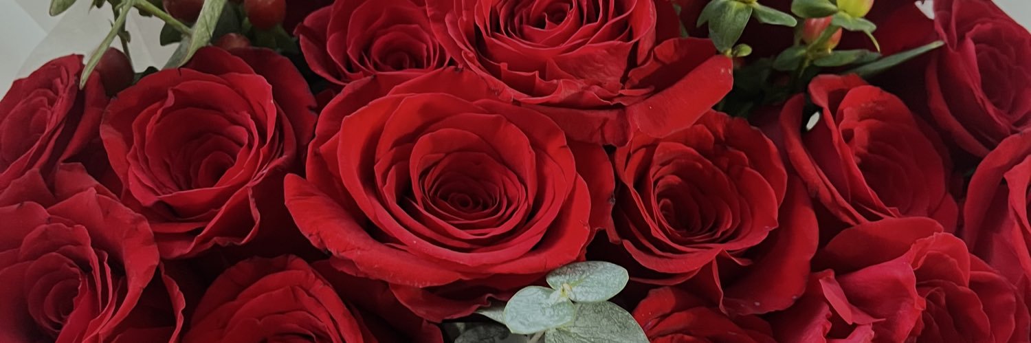 fernandapaezb's profile banner image