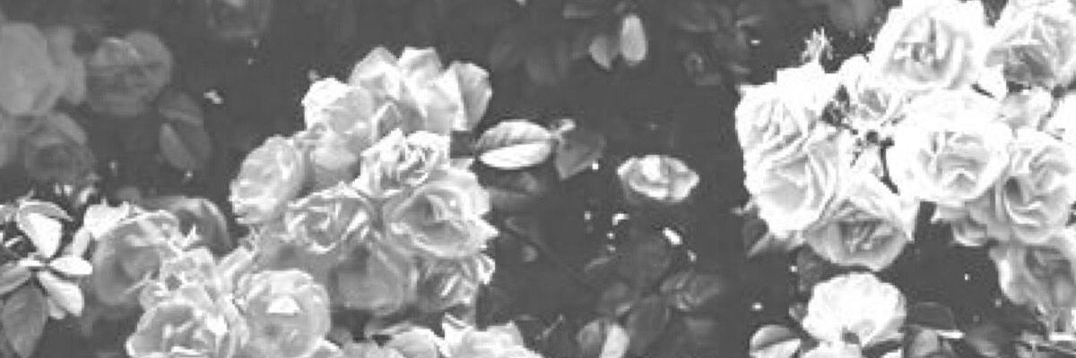 Ed1801K's profile banner image