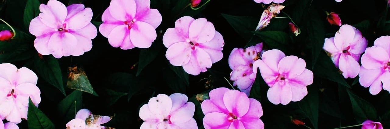 jude9494's profile banner image