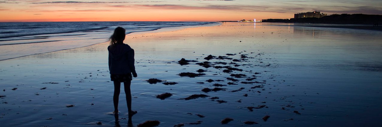 DorkingCameraClub banner