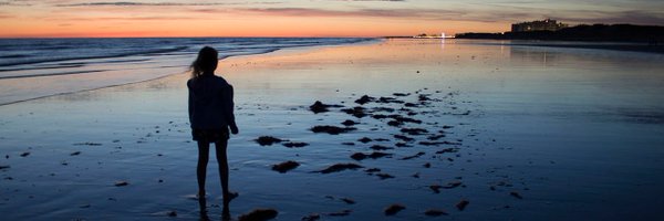 DorkingCamera Profile Banner