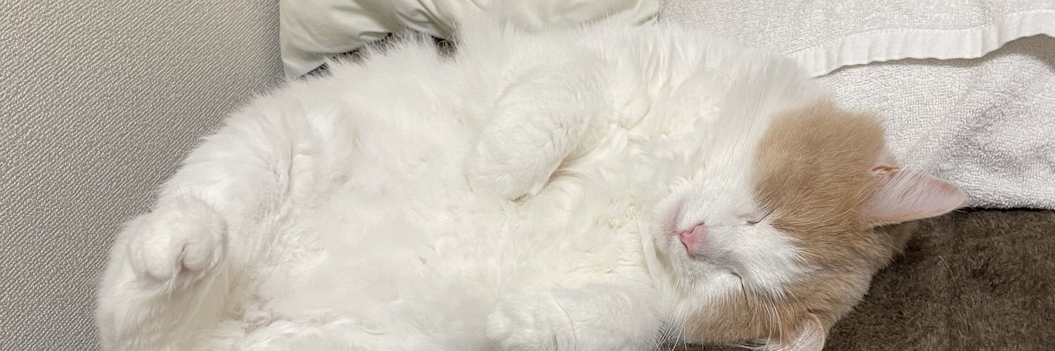 ちちゃんマン banner