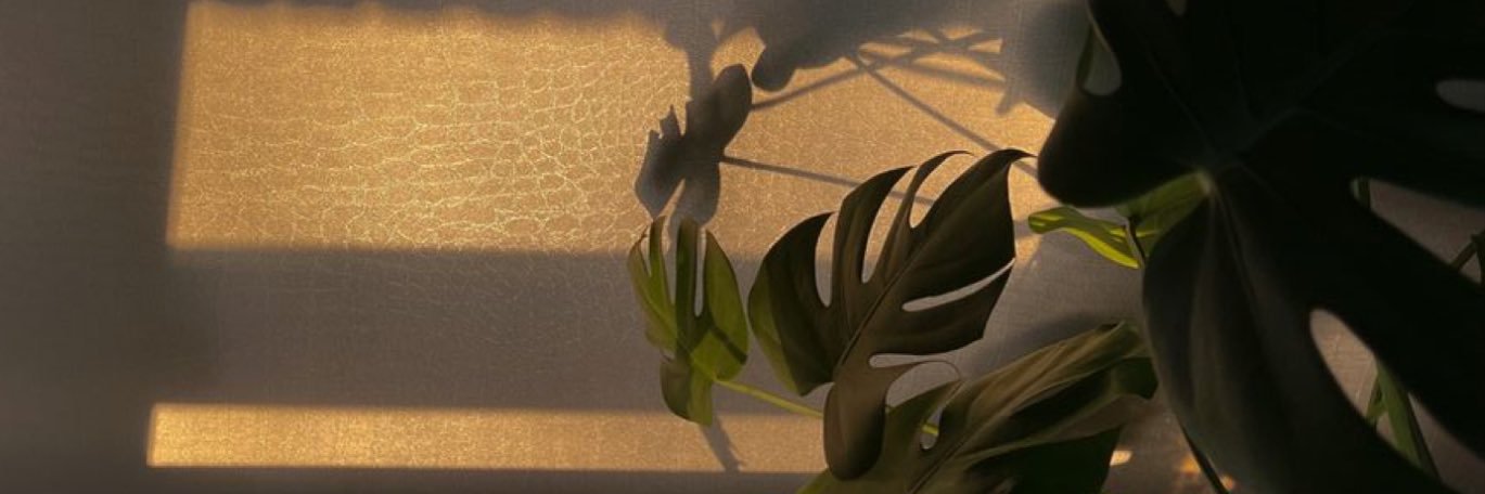 PerezBrianne's profile banner image