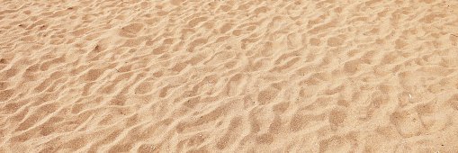 Sarah Jayne Davies banner