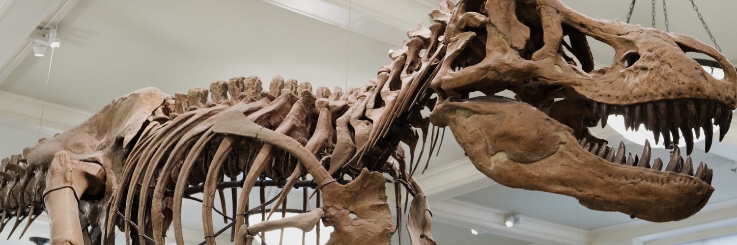 ThibSaurusRex's profile banner image