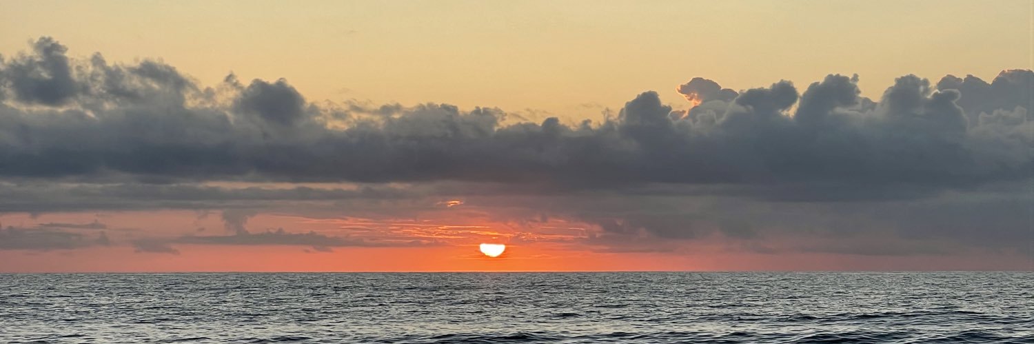 JennaLewo17's profile banner image