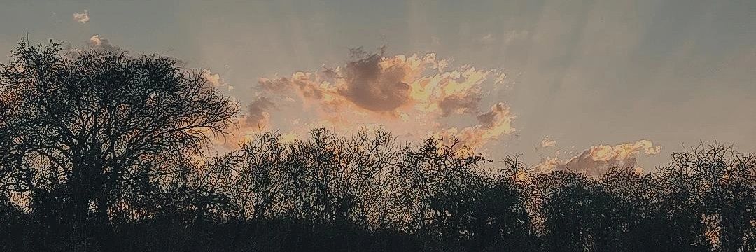 caandytorres's profile banner image