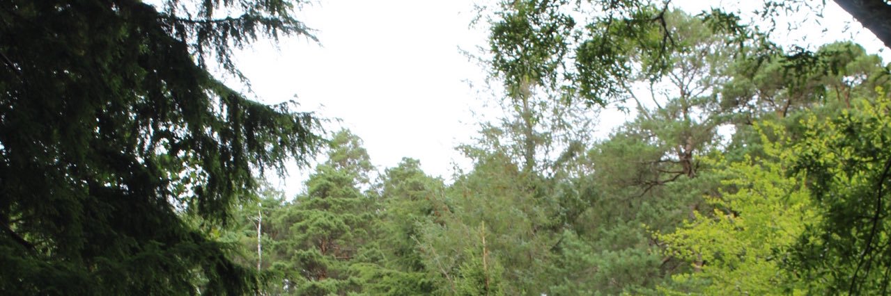 CallanSith's profile banner image