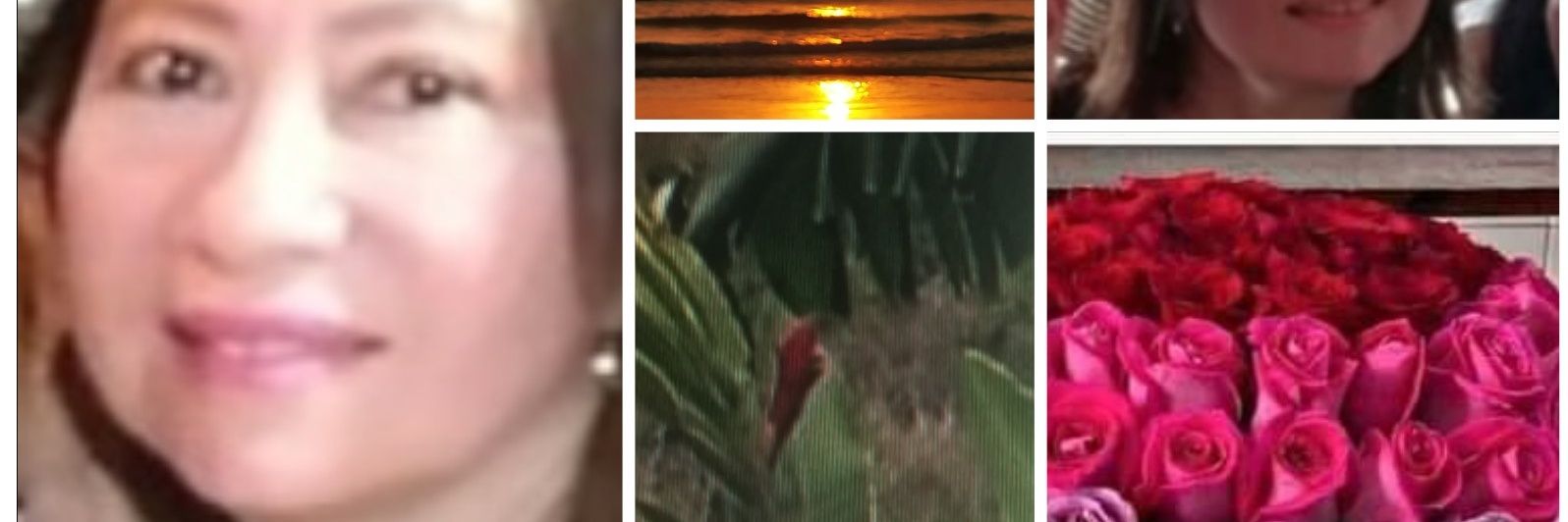 ConsueloJanet2's profile banner image