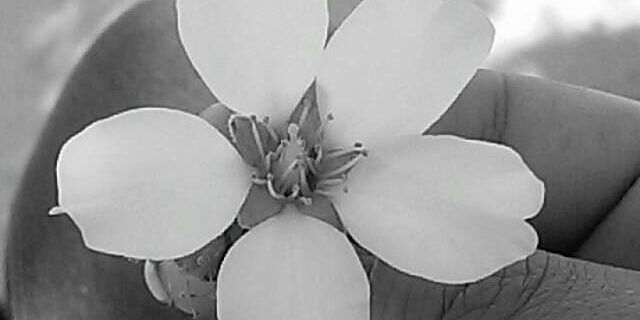 _Flackaaa_'s profile banner image