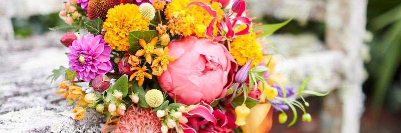 FLOWERGIRL27's profile banner image