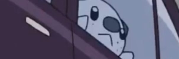RavenFP banner