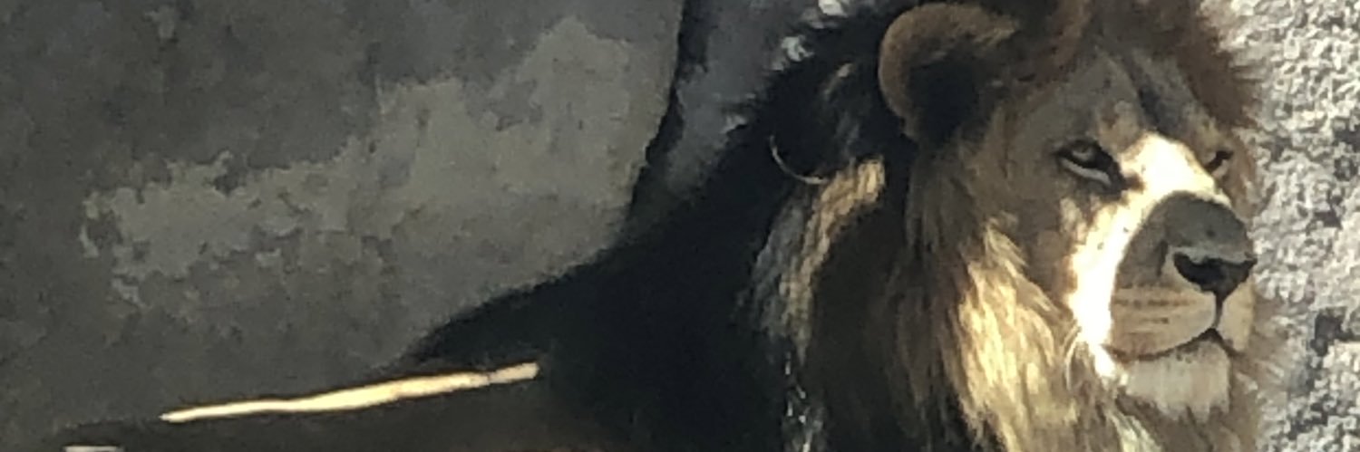 T3DR05's profile banner image