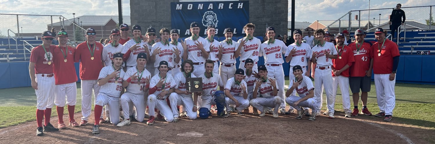 TWHS Baseball banner