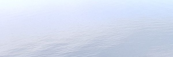 SibbaldMatt Profile Banner