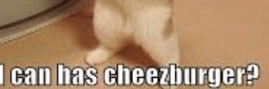jesse banner