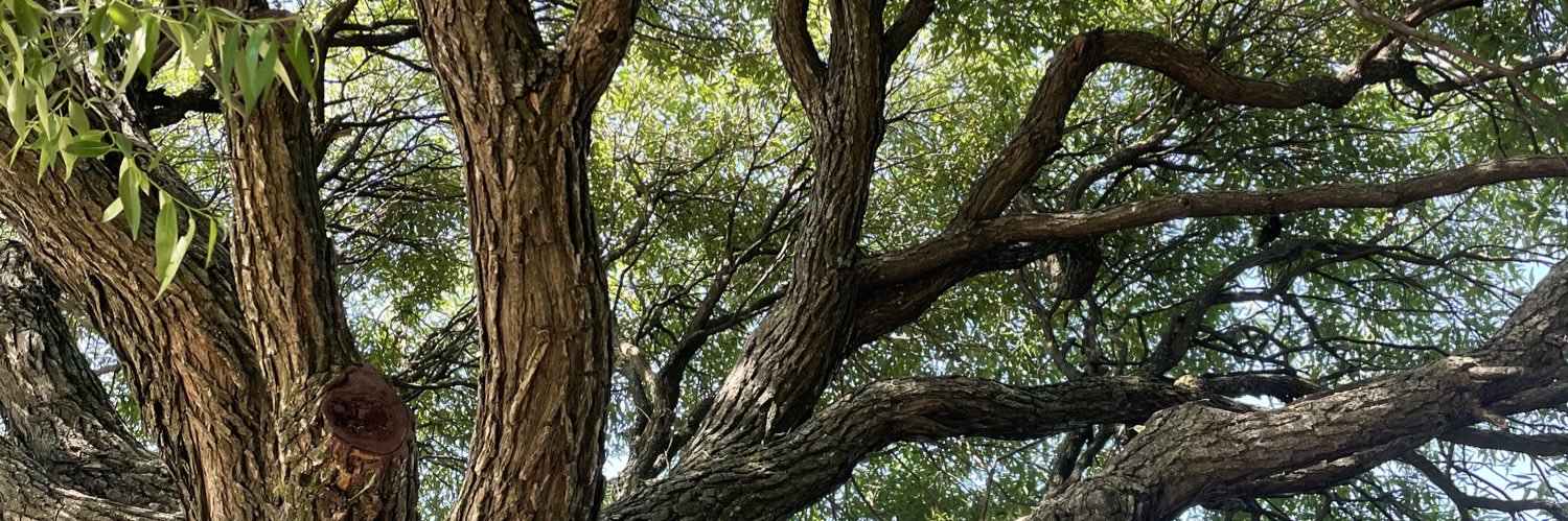 фосфатный остаток banner