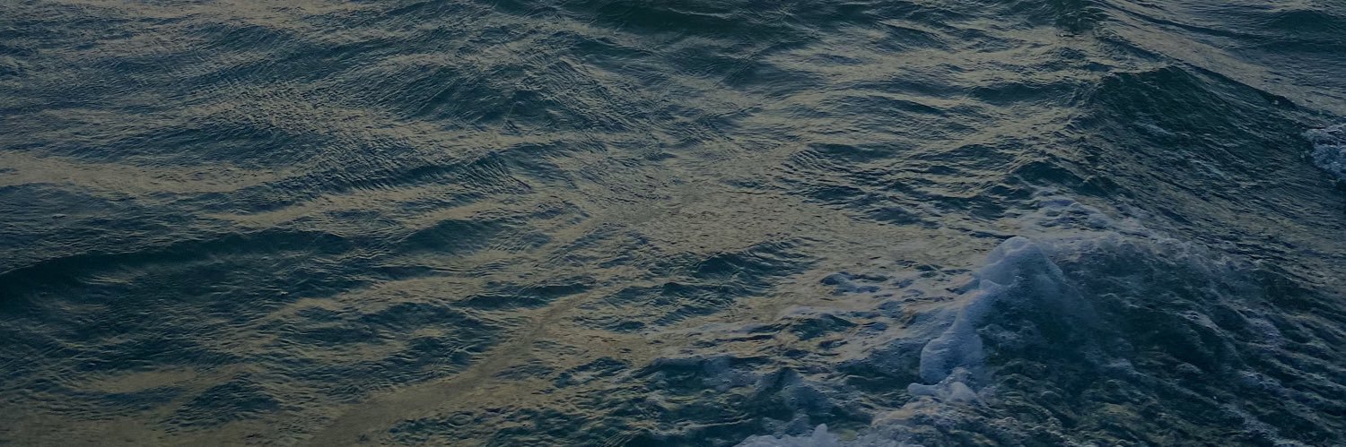 sofiastv27's profile banner image