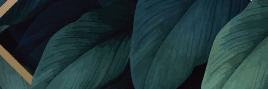Andrym13's profile banner image