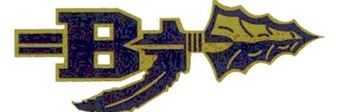 Brookfield Warriors banner