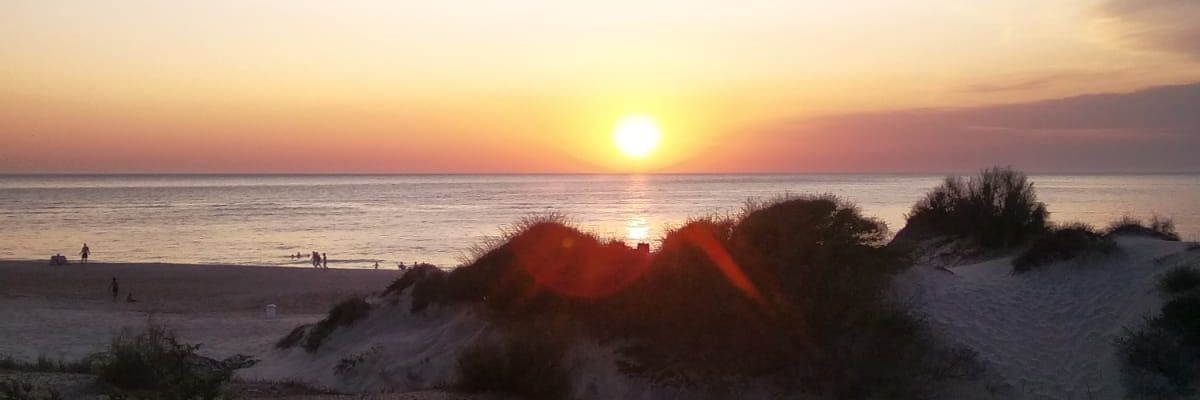 SofiFuCi's profile banner image