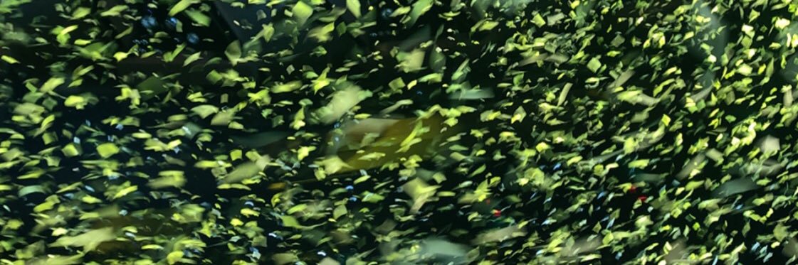 sa1tybagel's profile banner image
