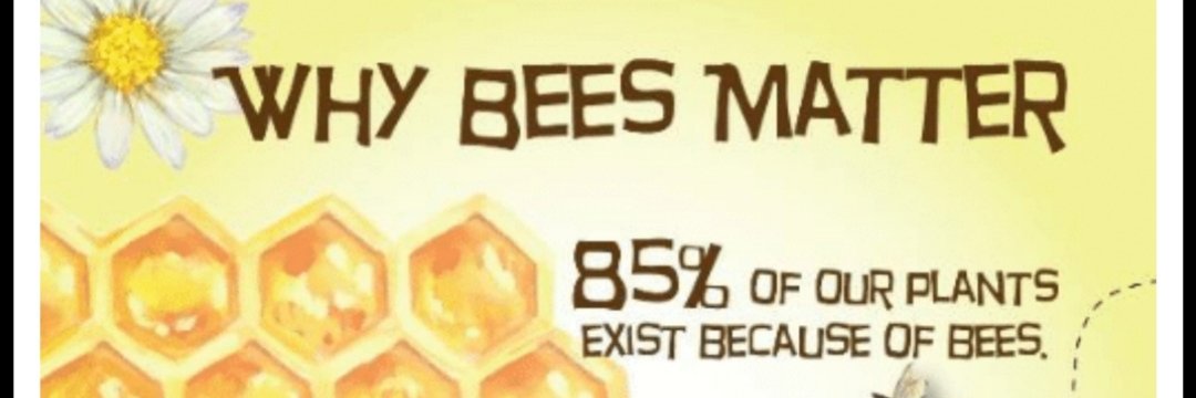 organic_wise's profile banner image