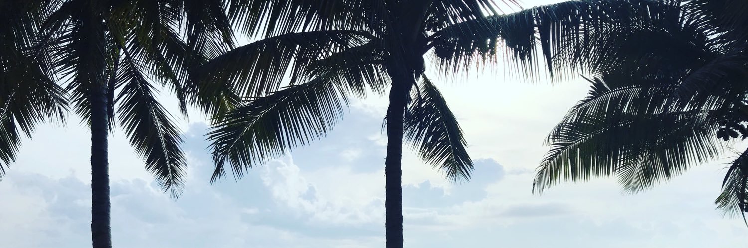 KevGitahi's profile banner image