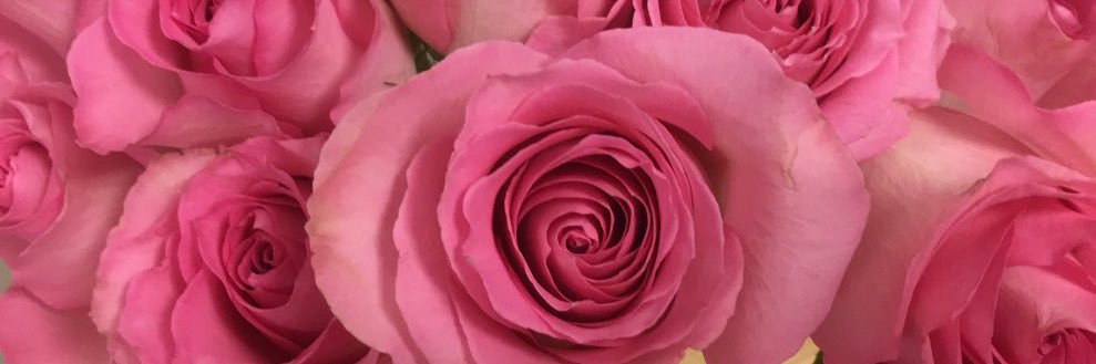 _giannadea_'s profile banner image