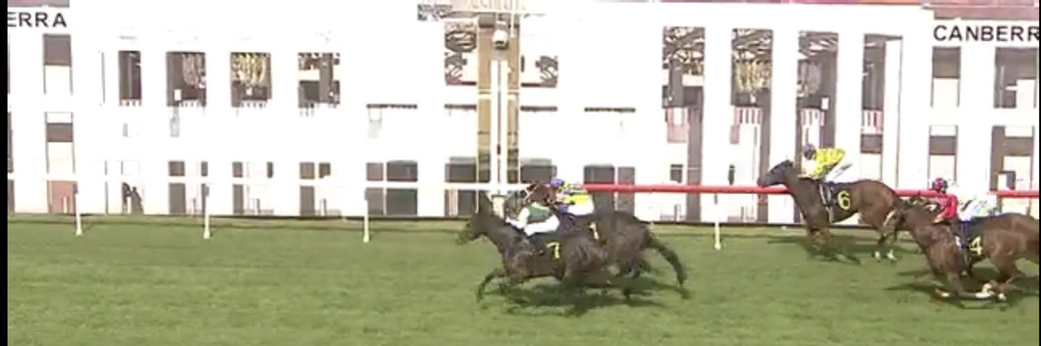 Robbie Ringland banner