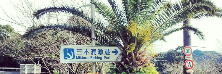KittoSeko's profile banner image