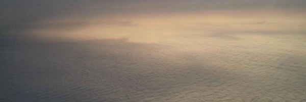 TheR3dLily Profile Banner