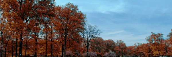 Kate Profile Banner