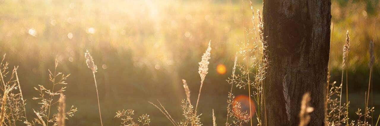 marlenuit's profile banner image
