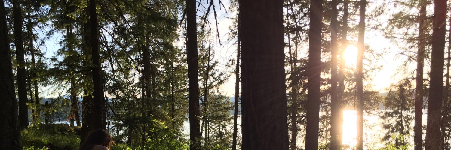 haileyh2081's profile banner image