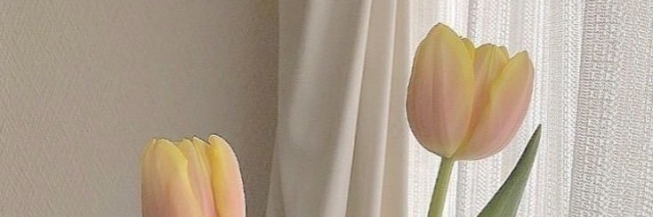 𖥦 banner