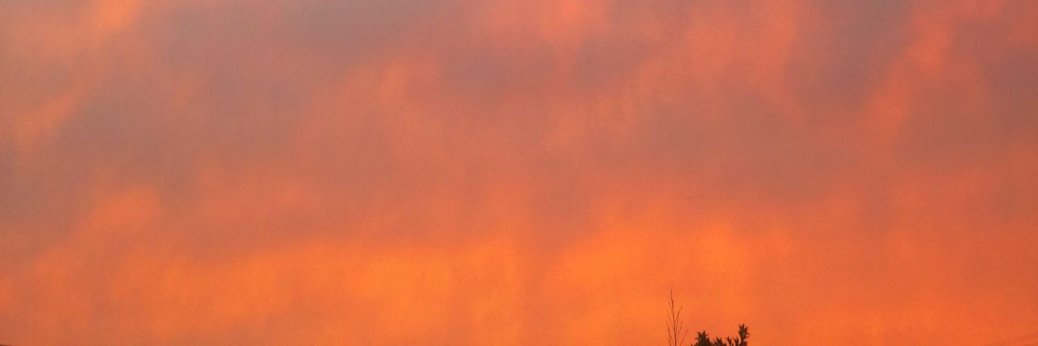 ElithaxxBaez's profile banner image