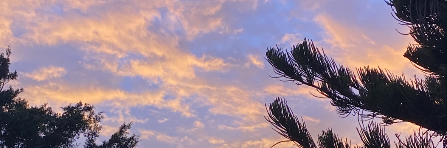 vilchisag's profile banner image