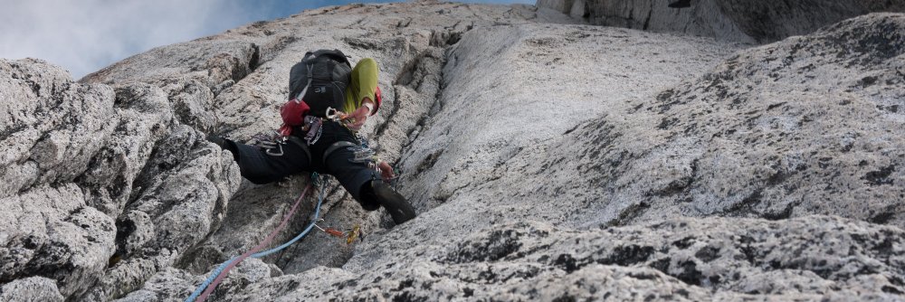 Gripped Climbing's banner