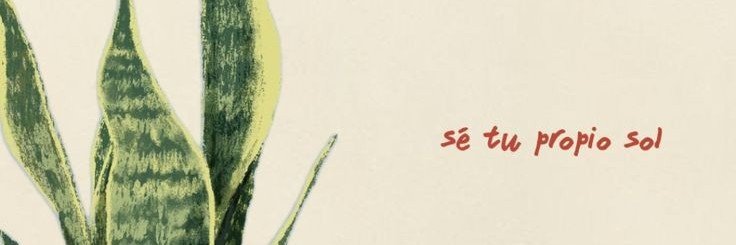CarvalhooMay's profile banner image